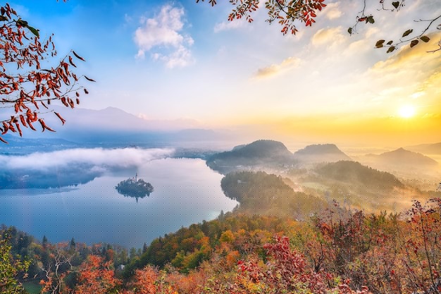 深度探索：华为手机如何完美登录deepseek的技巧与指南 - DeepSeek-DeepSeek