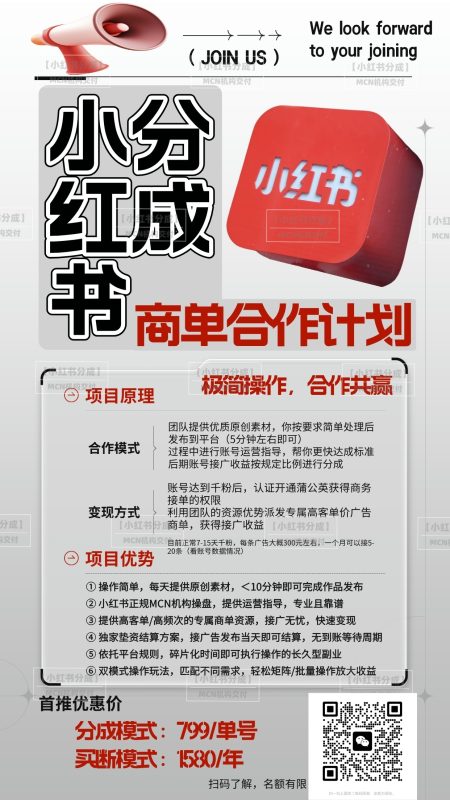 图片[13]-【小红书分成】商单合作计划 ，简单操作月入4-5位数 - DeepSeek-DeepSeek